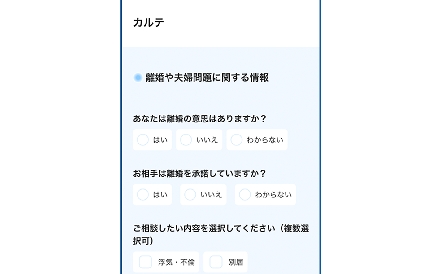 カルテ記入画面